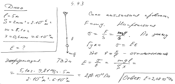 К вертикальной проволоке длиной l=5 м и площадью поперечного сечения S=2 мм2 подвешен груз массой m=5,1 кг. В результате проволо..., Задача 6403, Физика